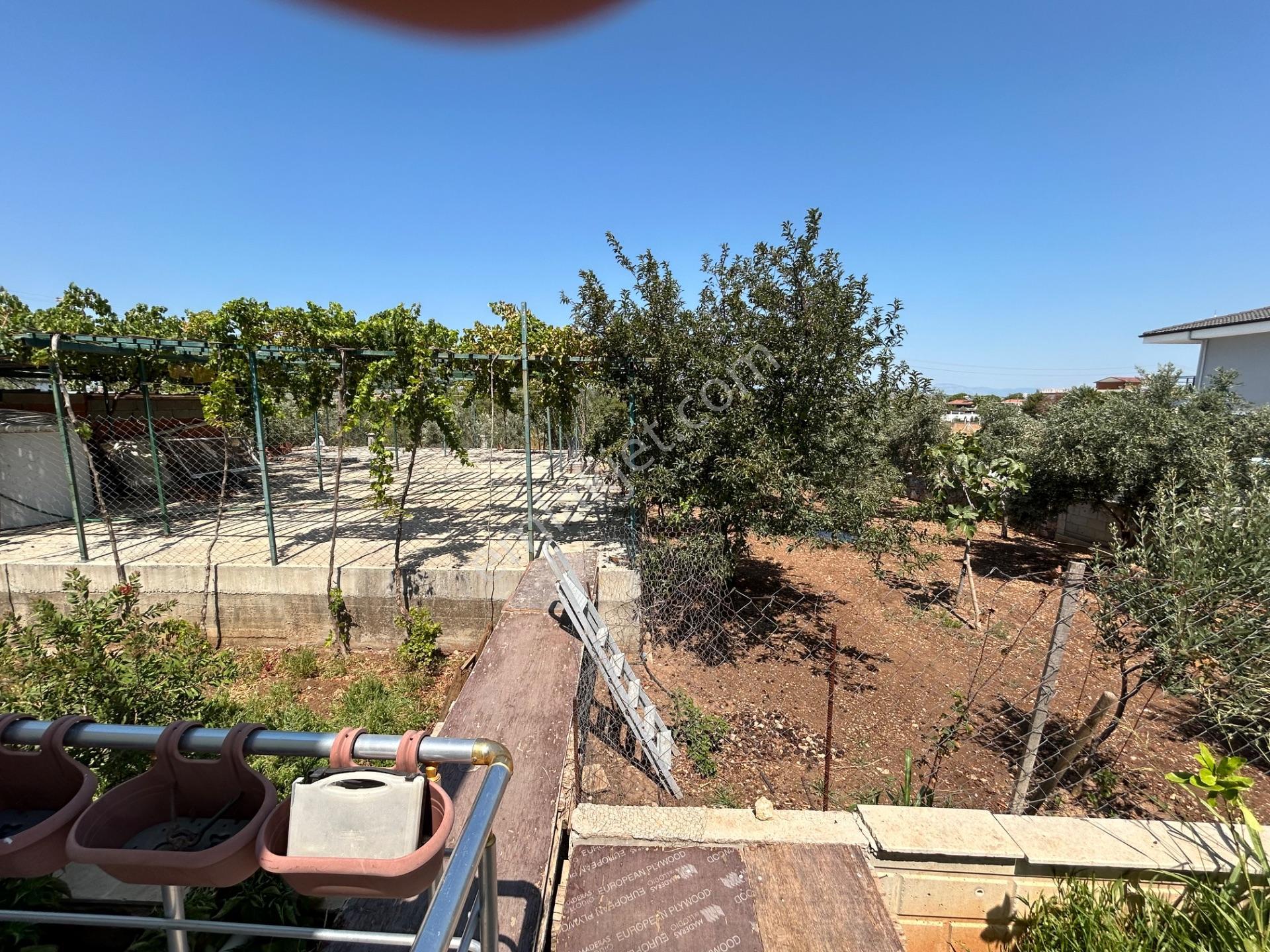 Didimde Tek Katlı Villa — fotoğraf 11