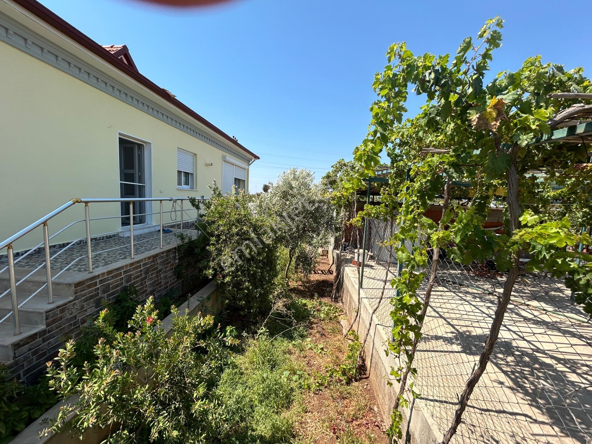 Didimde Tek Katlı Villa — fotoğraf 12