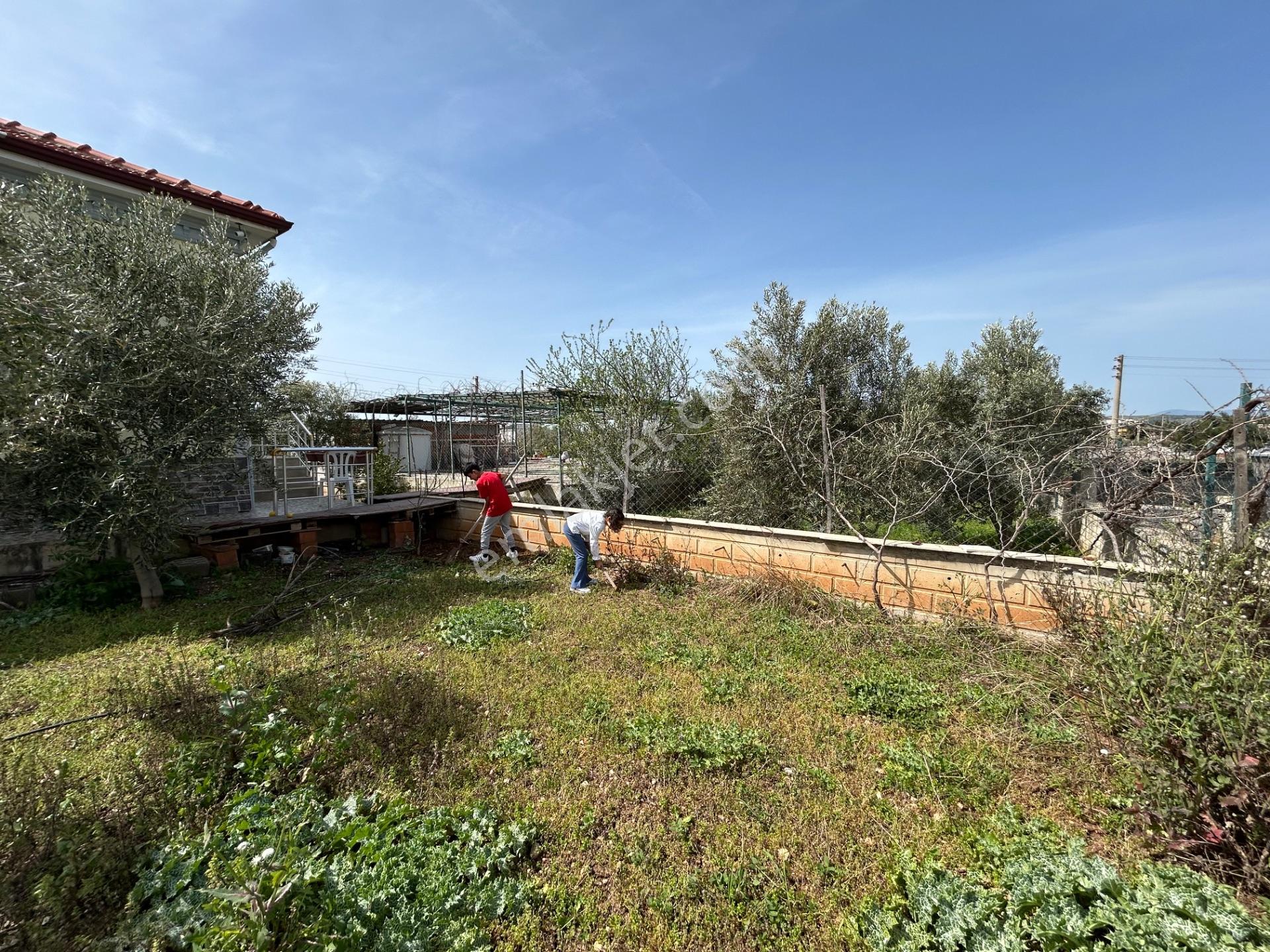 Didimde Tek Katlı Villa — fotoğraf 24