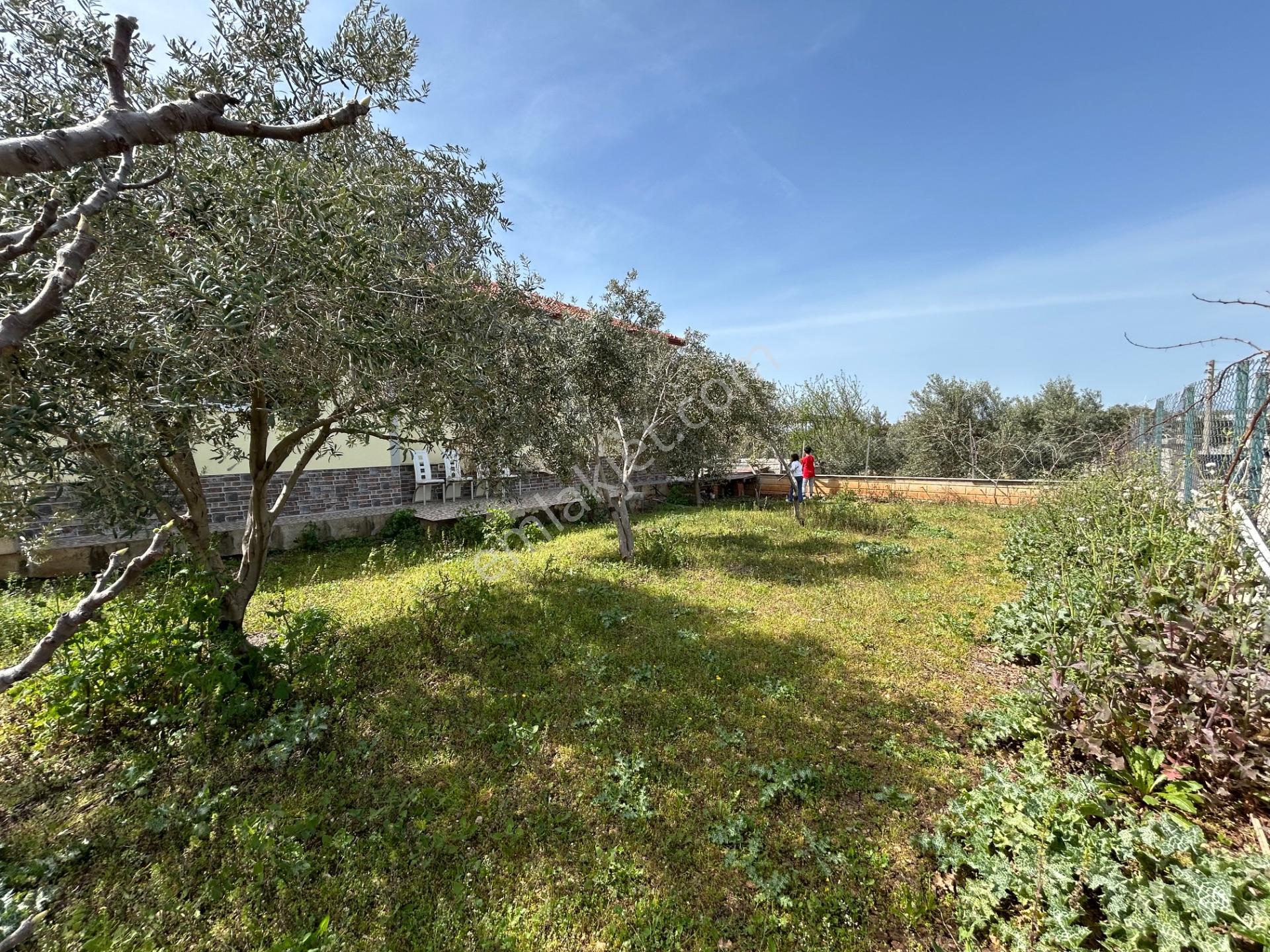 Didimde Tek Katlı Villa — fotoğraf 25