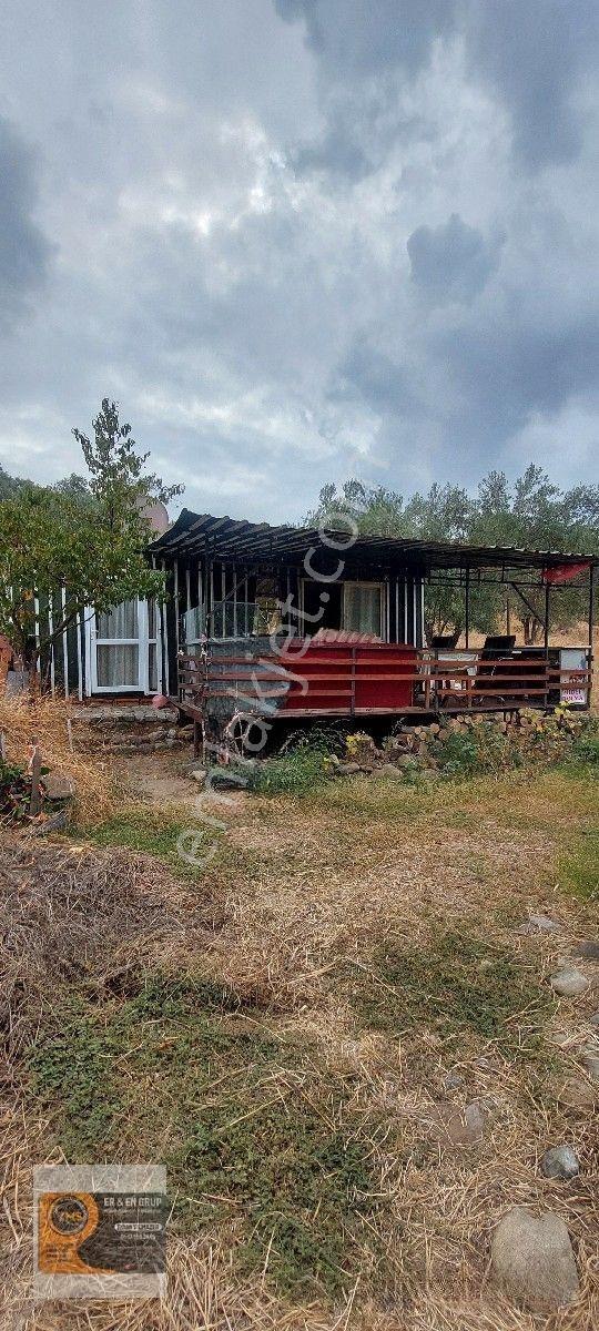 Dikili Kocaoba Da 1+1 Prefabrik Evi Olan 7272 Metrekare Zeytinlik