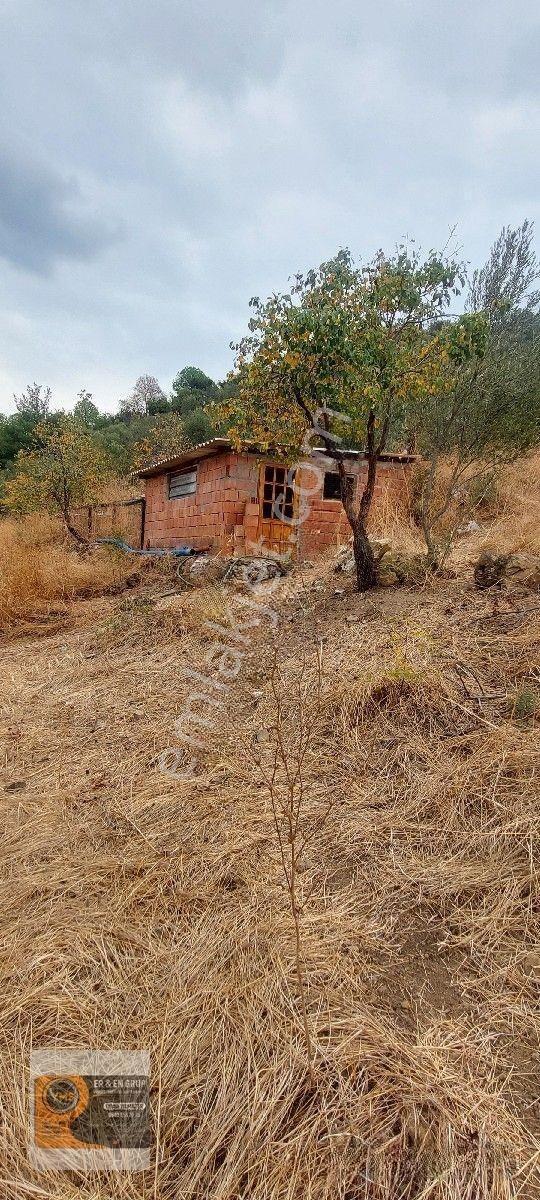 Dikili Kocaoba Da 1+1 Prefabrik Evi Olan 7272 Metrekare Zeytinlik — fotoğraf 18