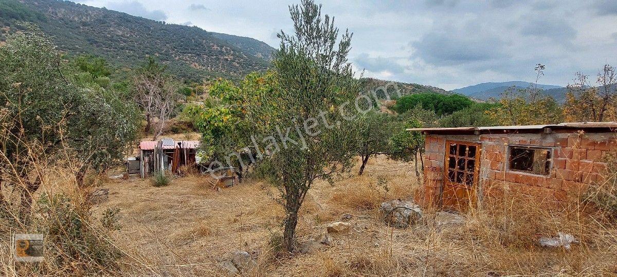Dikili Kocaoba Da 1+1 Prefabrik Evi Olan 7272 Metrekare Zeytinlik — fotoğraf 20