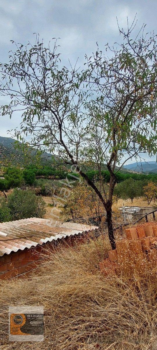 Dikili Kocaoba Da 1+1 Prefabrik Evi Olan 7272 Metrekare Zeytinlik — fotoğraf 24