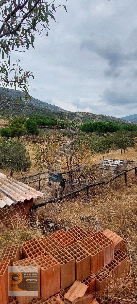 Dikili Kocaoba Da 1+1 Prefabrik Evi Olan 7272 Metrekare Zeytinlik — fotoğraf 26