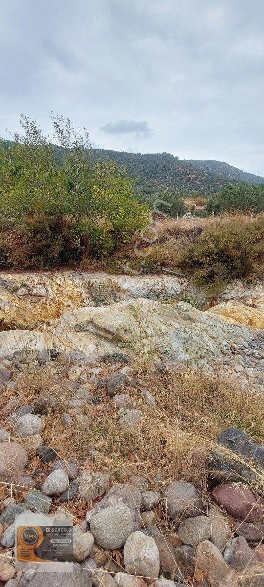 Dikili Kocaoba Da 1+1 Prefabrik Evi Olan 7272 Metrekare Zeytinlik — fotoğraf 31
