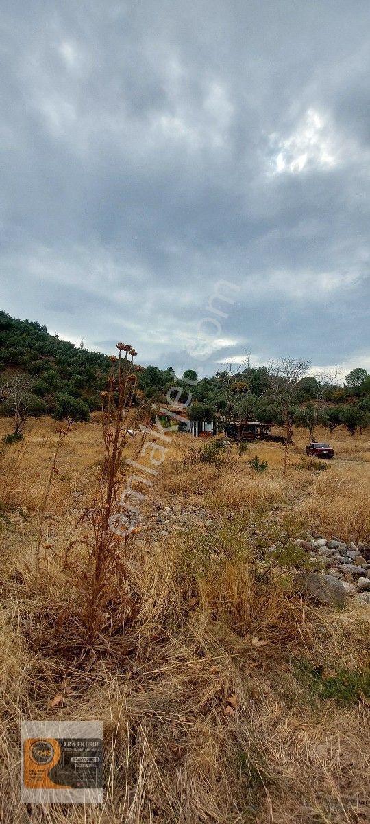 Dikili Kocaoba Da 1+1 Prefabrik Evi Olan 7272 Metrekare Zeytinlik — fotoğraf 32