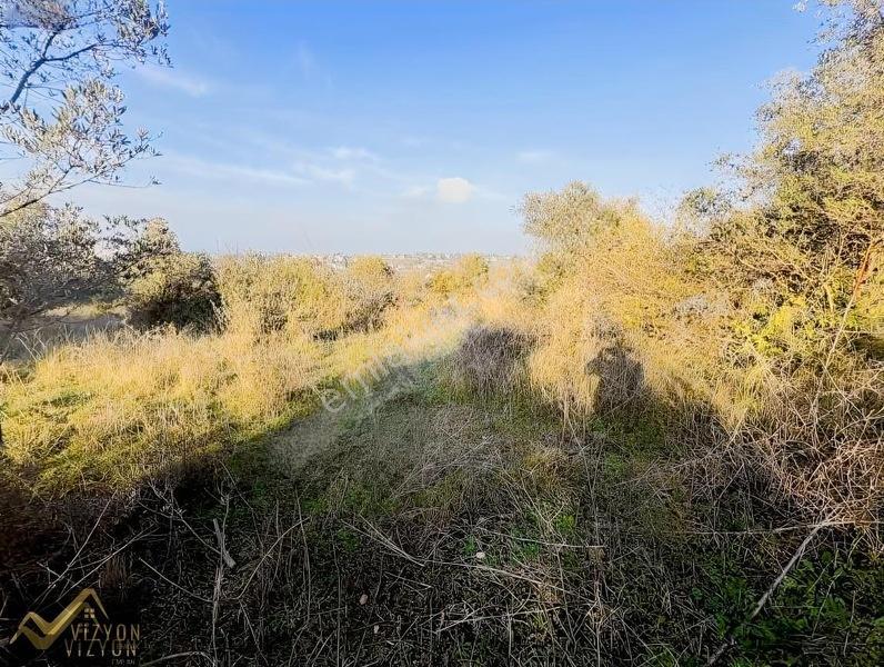 Vizyon Emlak'tan Villa Yapımına Uygun 2.700 M2 Cami Mh Tarla — fotoğraf 3