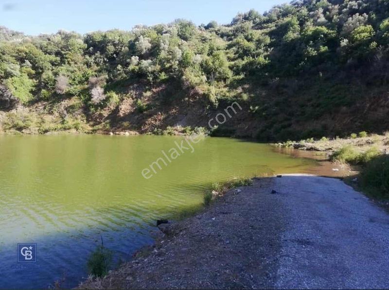 Bayındır Zeytinova Köye Ve Ana Yola Yakın Yatırımlık Zeytinlik — fotoğraf 13
