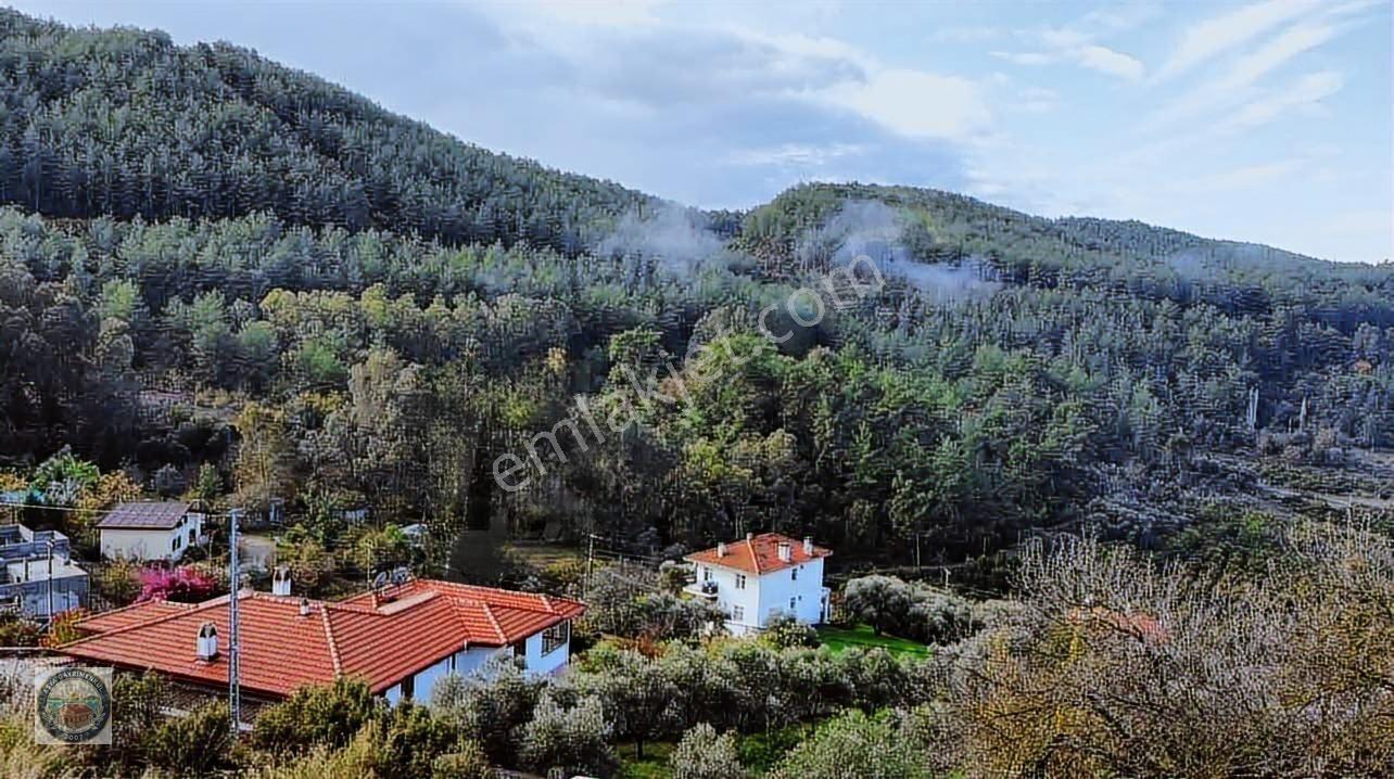 Doğa İçerisinde Müstakil 20/40 İmarlı Arsa — fotoğraf 5