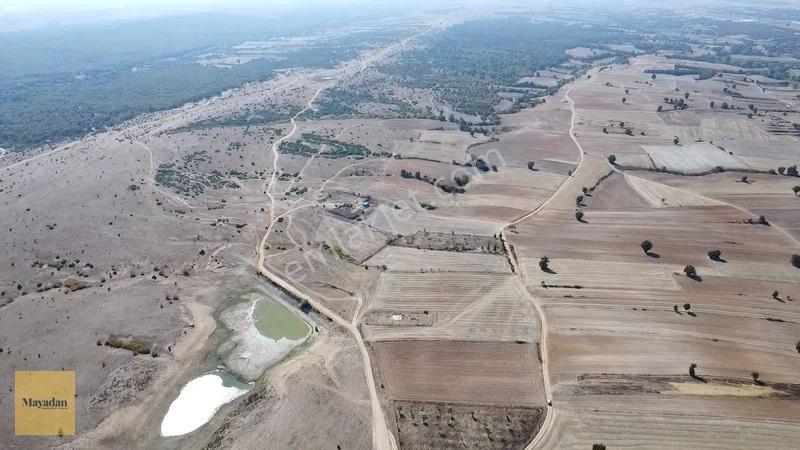 Mayadan Köye Yakın Müstakil Tapu Yola Cephe Tarla — fotoğraf 3