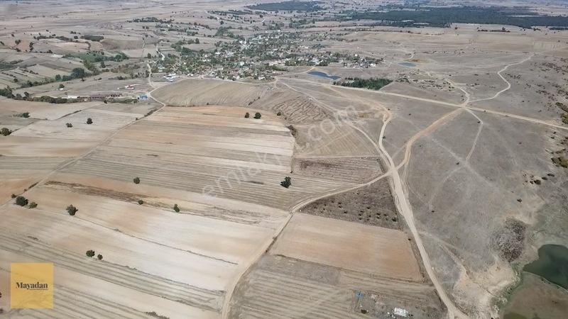 Mayadan Köye Yakın Müstakil Tapu Yola Cephe Tarla — fotoğraf 5