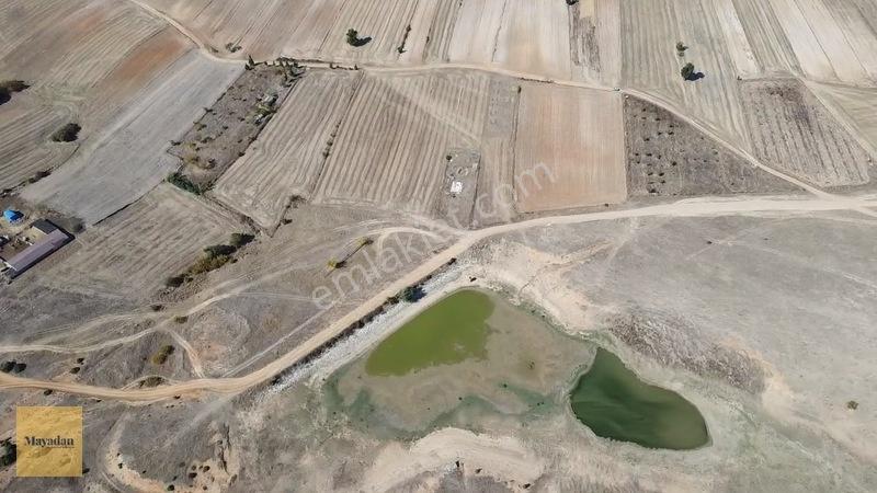 Mayadan Köye Yakın Müstakil Tapu Yola Cephe Tarla — fotoğraf 8