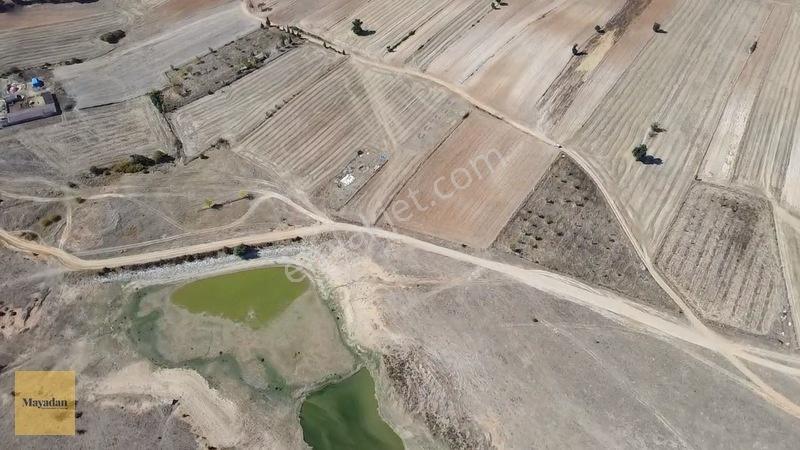 Mayadan Köye Yakın Müstakil Tapu Yola Cephe Tarla — fotoğraf 9