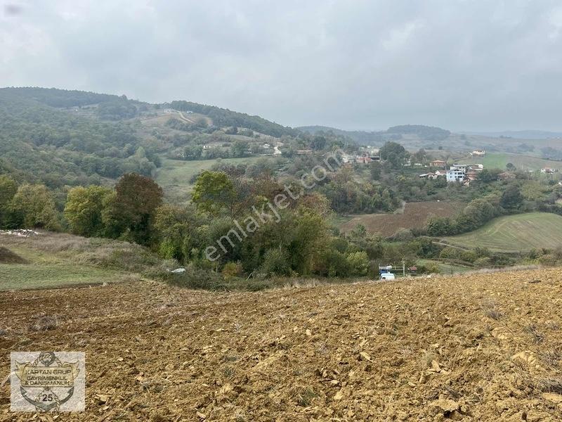 Körfez Çıraklı Köyü — fotoğraf 12