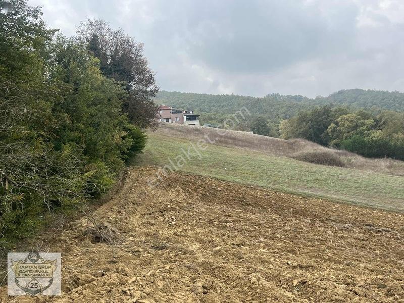 Körfez Çıraklı Köyü — fotoğraf 13