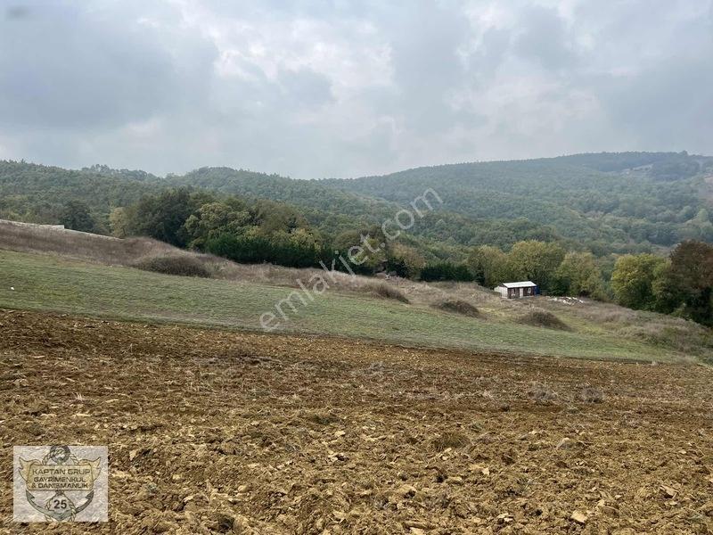 Körfez Çıraklı Köyü — fotoğraf 17