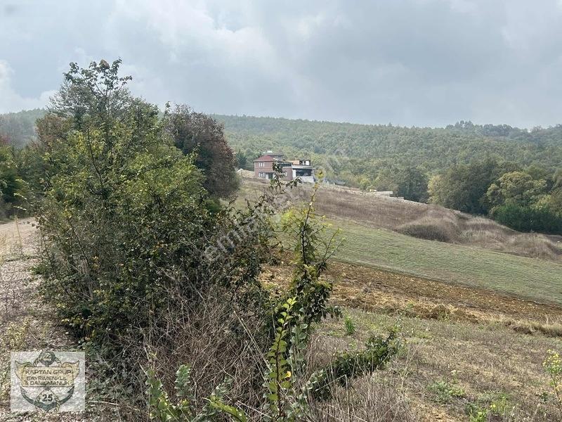Körfez Çıraklı Köyü — fotoğraf 22