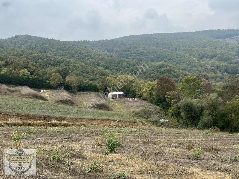 Körfez Çıraklı Köyü — fotoğraf 26