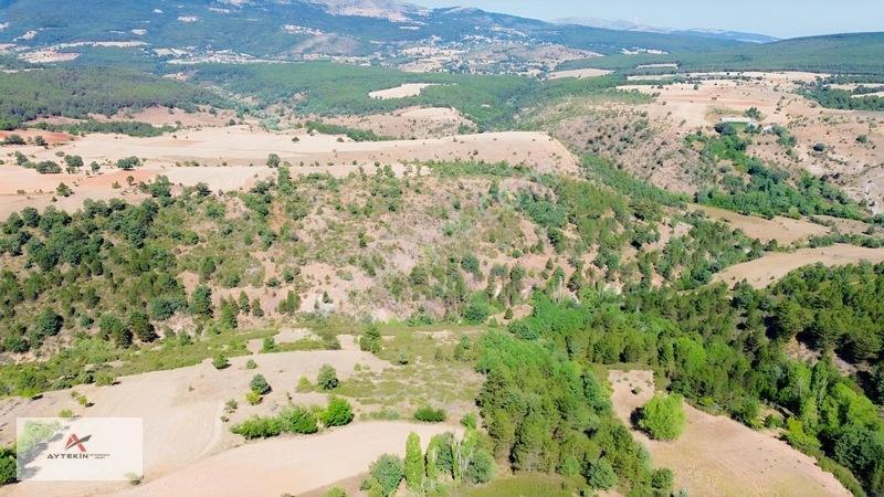 Büyük Metraj Küçük Fiyat Doğanhisar Kemer Tarla — fotoğraf 4