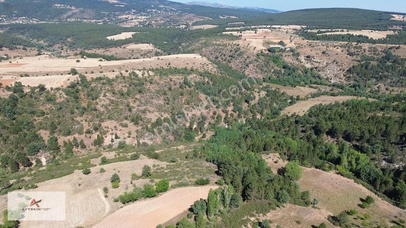Büyük Metraj Küçük Fiyat Doğanhisar Kemer Tarla — fotoğraf 5