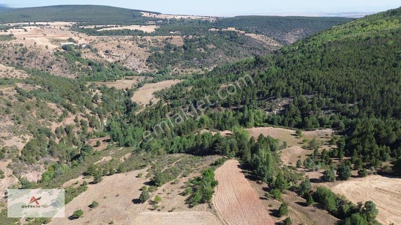 Büyük Metraj Küçük Fiyat Doğanhisar Kemer Tarla — fotoğraf 6