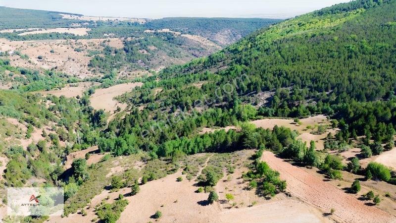 Büyük Metraj Küçük Fiyat Doğanhisar Kemer Tarla — fotoğraf 7