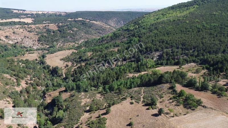 Büyük Metraj Küçük Fiyat Doğanhisar Kemer Tarla — fotoğraf 8