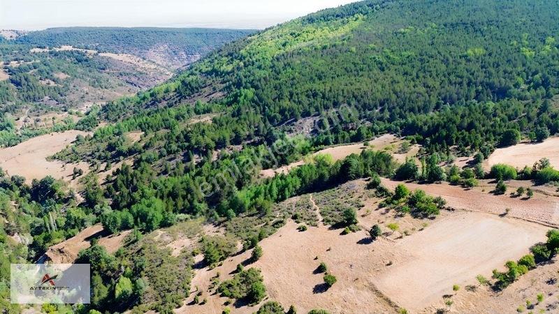 Büyük Metraj Küçük Fiyat Doğanhisar Kemer Tarla — fotoğraf 9