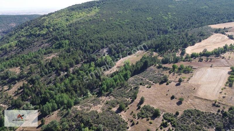 Büyük Metraj Küçük Fiyat Doğanhisar Kemer Tarla — fotoğraf 10