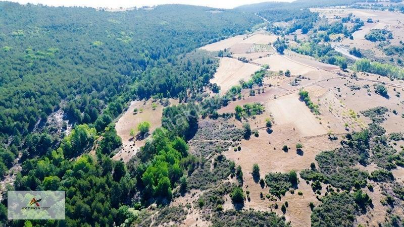 Büyük Metraj Küçük Fiyat Doğanhisar Kemer Tarla — fotoğraf 11