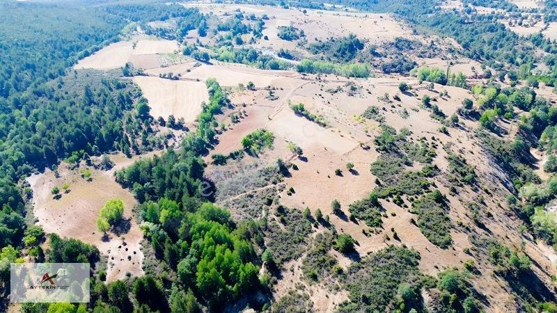 Büyük Metraj Küçük Fiyat Doğanhisar Kemer Tarla — fotoğraf 13