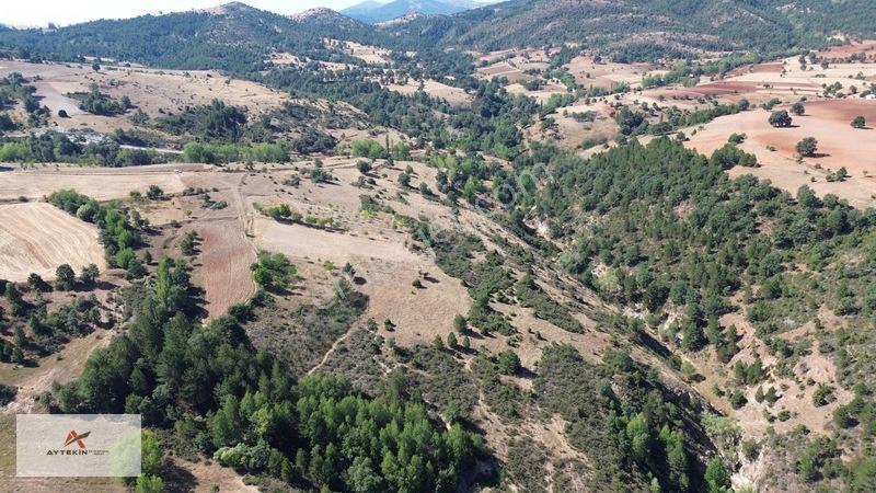 Büyük Metraj Küçük Fiyat Doğanhisar Kemer Tarla — fotoğraf 15