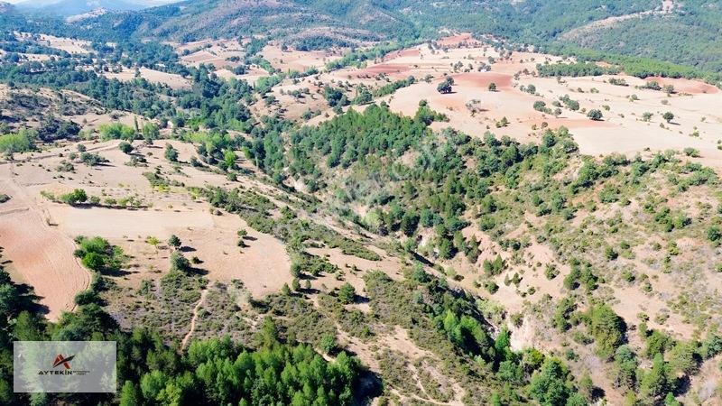 Büyük Metraj Küçük Fiyat Doğanhisar Kemer Tarla — fotoğraf 16
