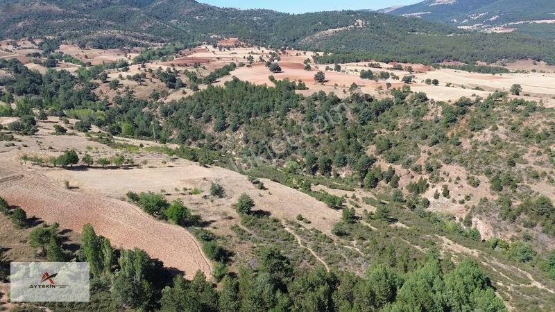 Büyük Metraj Küçük Fiyat Doğanhisar Kemer Tarla — fotoğraf 18