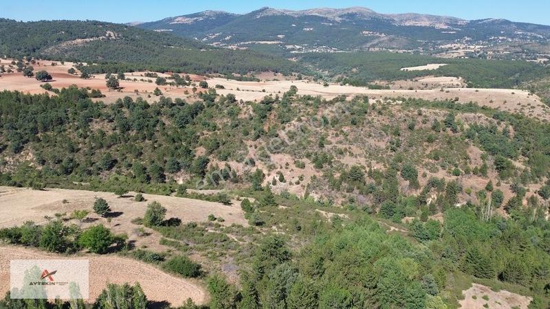 Büyük Metraj Küçük Fiyat Doğanhisar Kemer Tarla — fotoğraf 19