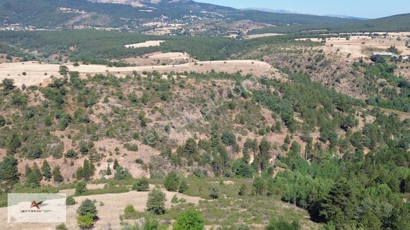 Büyük Metraj Küçük Fiyat Doğanhisar Kemer Tarla — fotoğraf 20