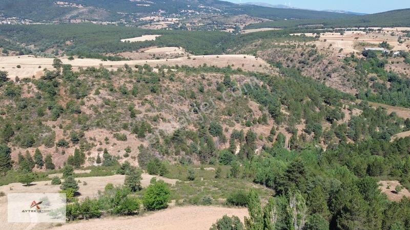 Büyük Metraj Küçük Fiyat Doğanhisar Kemer Tarla — fotoğraf 21