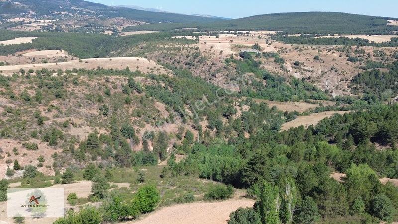 Büyük Metraj Küçük Fiyat Doğanhisar Kemer Tarla — fotoğraf 22