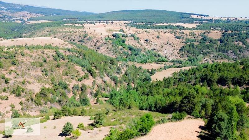 Büyük Metraj Küçük Fiyat Doğanhisar Kemer Tarla — fotoğraf 23