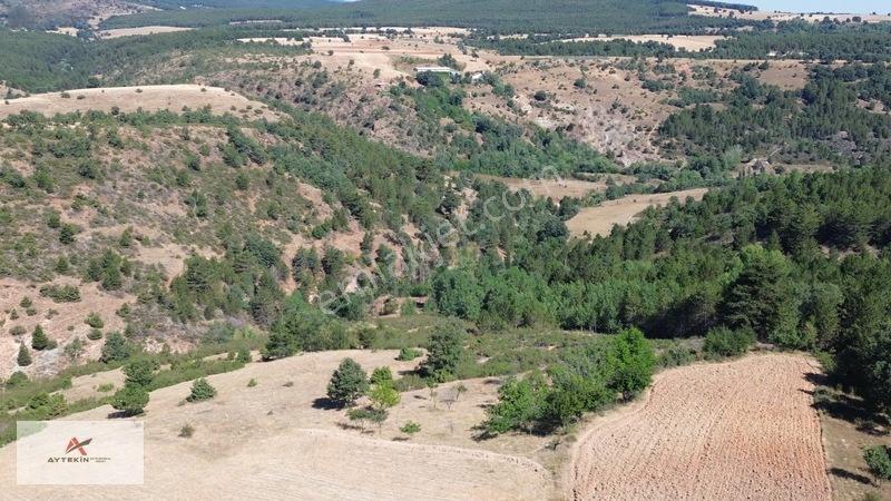 Büyük Metraj Küçük Fiyat Doğanhisar Kemer Tarla — fotoğraf 24