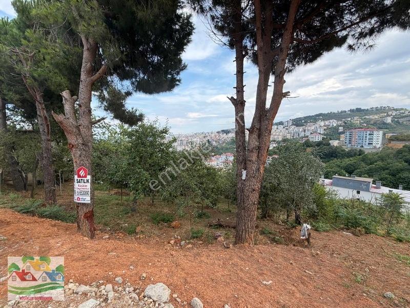 Karşıyaka Da Deniz Ve Doğa Manzaralı Arsa — fotoğraf 3