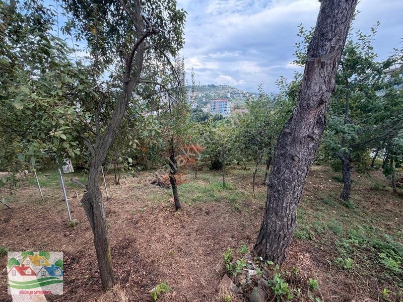 Karşıyaka Da Deniz Ve Doğa Manzaralı Arsa — fotoğraf 4