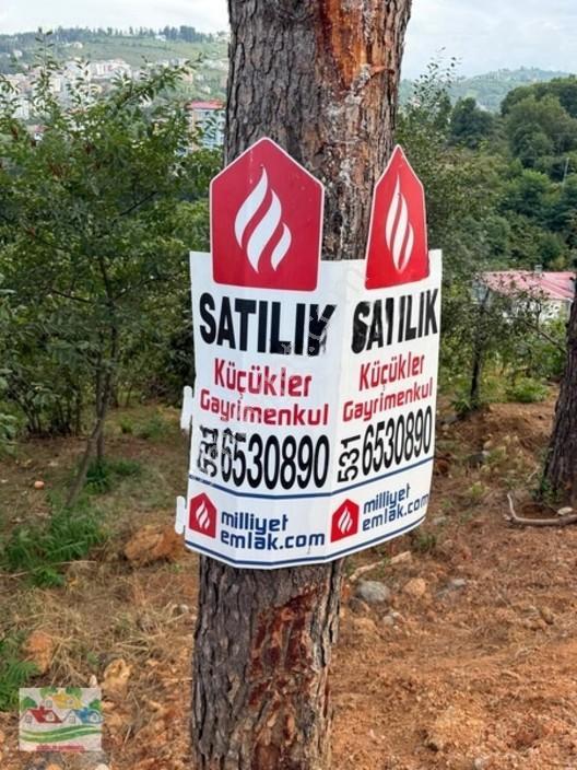 Karşıyaka Da Deniz Ve Doğa Manzaralı Arsa — fotoğraf 6