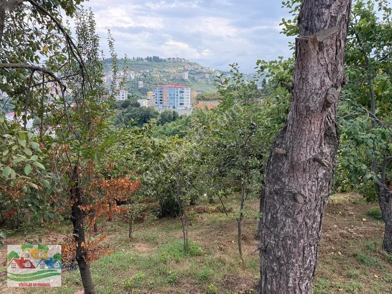 Karşıyaka Da Deniz Ve Doğa Manzaralı Arsa — fotoğraf 8