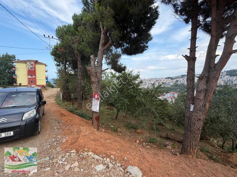 Karşıyaka Da Deniz Ve Doğa Manzaralı Arsa — fotoğraf 9