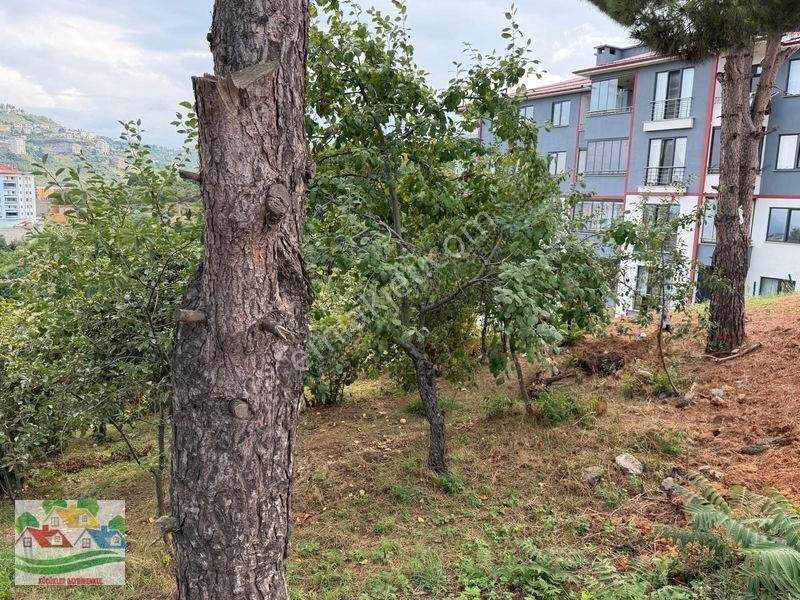 Karşıyaka Da Deniz Ve Doğa Manzaralı Arsa — fotoğraf 10