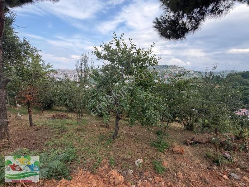Karşıyaka Da Deniz Ve Doğa Manzaralı Arsa — fotoğraf 11
