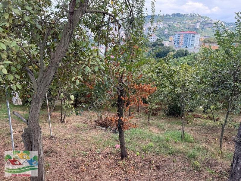 Karşıyaka Da Deniz Ve Doğa Manzaralı Arsa — fotoğraf 13