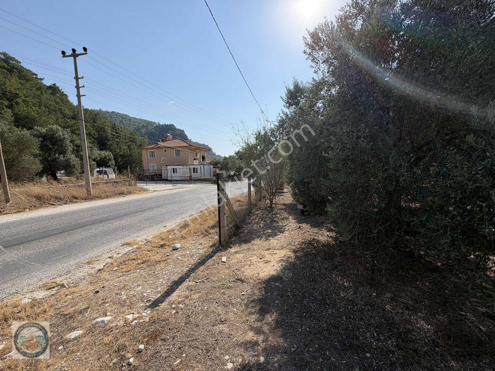 Anayola Sıfır Tarla Kısa Süreliğine Aciliyetten — fotoğraf 5